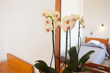Olympia Hotel 2*